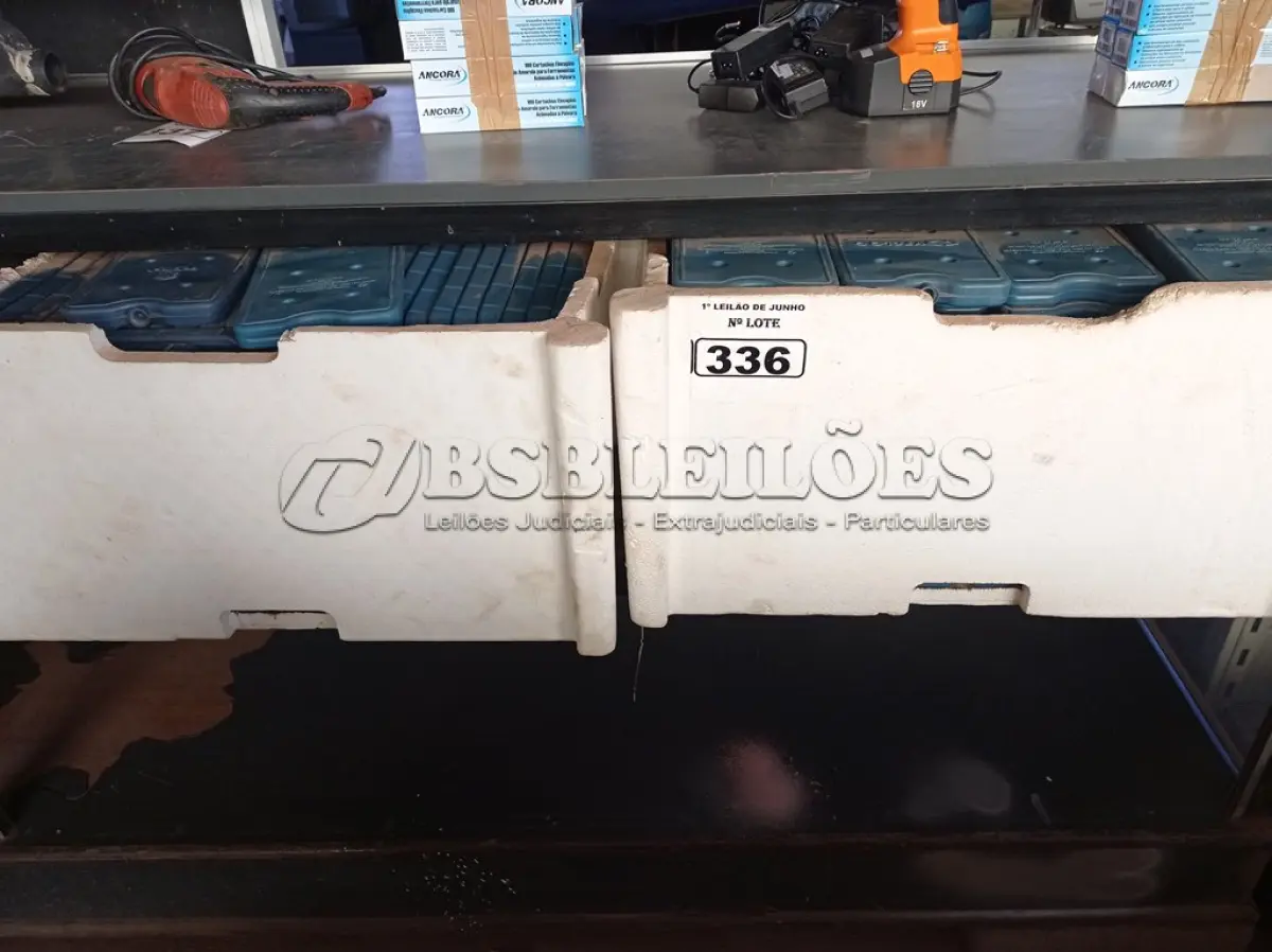LOTE 336 - 01 LOTE COM GRANDE QUANTIDADE DE PLACAS PARA FAZER GELO RÍGIDO REUTILIZÁVEL. (NO ESTADO) ATENÇÃO! FAZER A VISITAÇÃO ANTES DE ARREMATAR, NÃO SABEMOS SE FUNCIONA. LEILÃO NÃO TEM GARANTIA E NEM DEVOLUÇÃO, SUJEITO A POSSÍVEIS AVARIAS VISÍVEIS/OCULTAS E/OU AUSÊNCIA DE COMPONENTES.