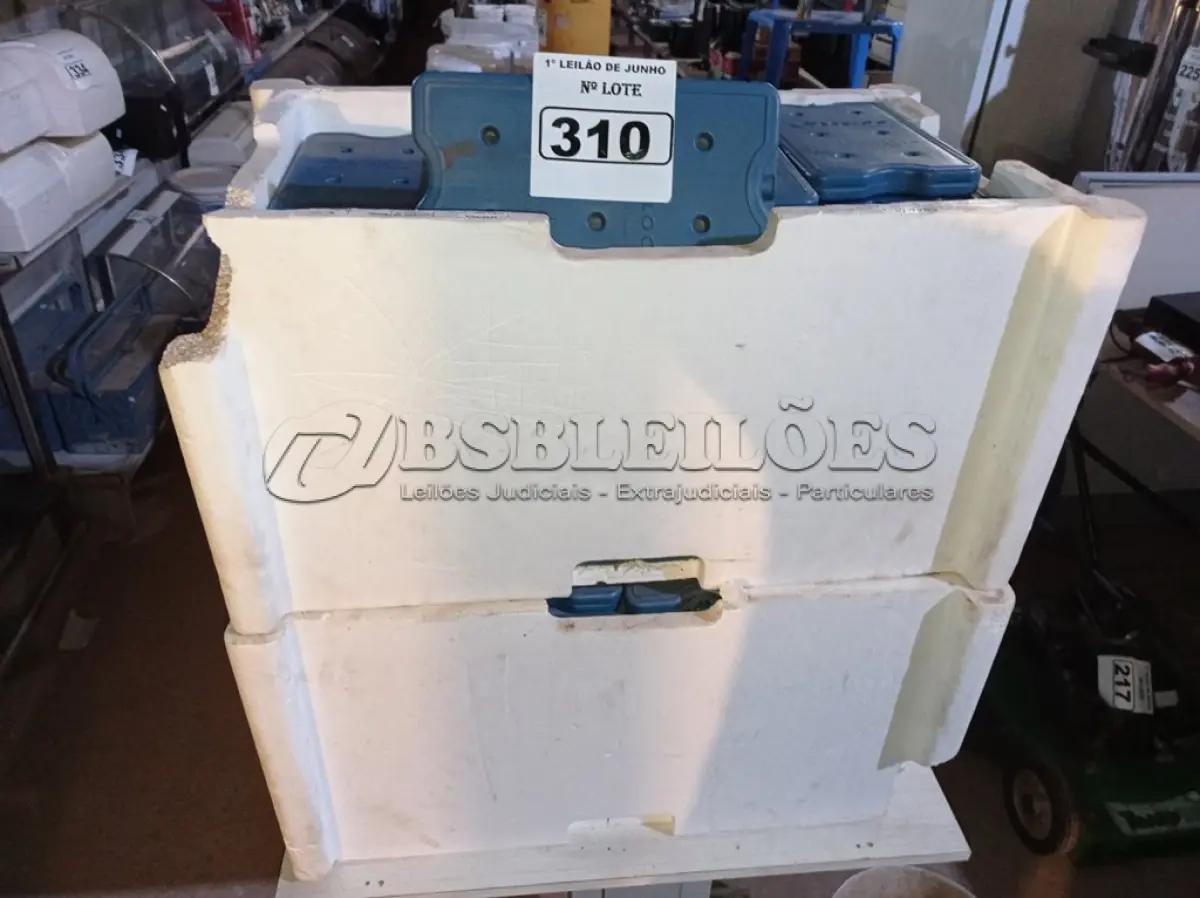 LOTE 310 - 01 LOTE COM GRANDE QUANTIDADE DE PLACAS PARA FAZER GELO RÍGIDO REUTILIZÁVEL. (NO ESTADO) ATENÇÃO! FAZER A VISITAÇÃO ANTES DE ARREMATAR, NÃO SABEMOS SE FUNCIONA. LEILÃO NÃO TEM GARANTIA E NEM DEVOLUÇÃO, SUJEITO A POSSÍVEIS AVARIAS VISÍVEIS/OCULTAS E/OU AUSÊNCIA DE COMPONENTES.