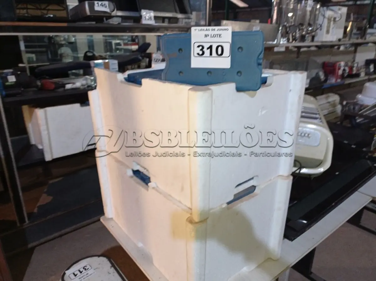 LOTE 310