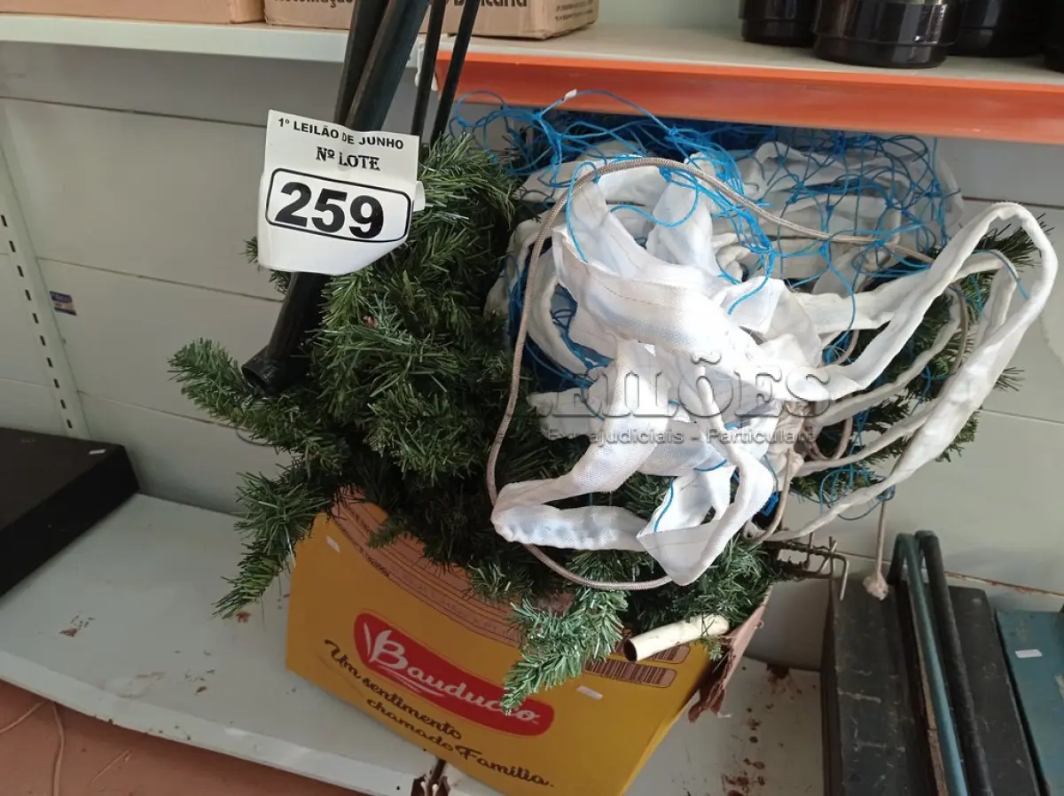 LOTE 259 - 01 ARVORE DE NATAL E 01 REDE DE VÔLEI. (NO ESTADO) ATENÇÃO! FAZER A VISITAÇÃO ANTES DE ARREMATAR, NÃO SABEMOS SE FUNCIONA. LEILÃO NÃO TEM GARANTIA E NEM DEVOLUÇÃO, SUJEITO A POSSÍVEIS AVARIAS VISÍVEIS/OCULTAS E/OU AUSÊNCIA DE COMPONENTES.