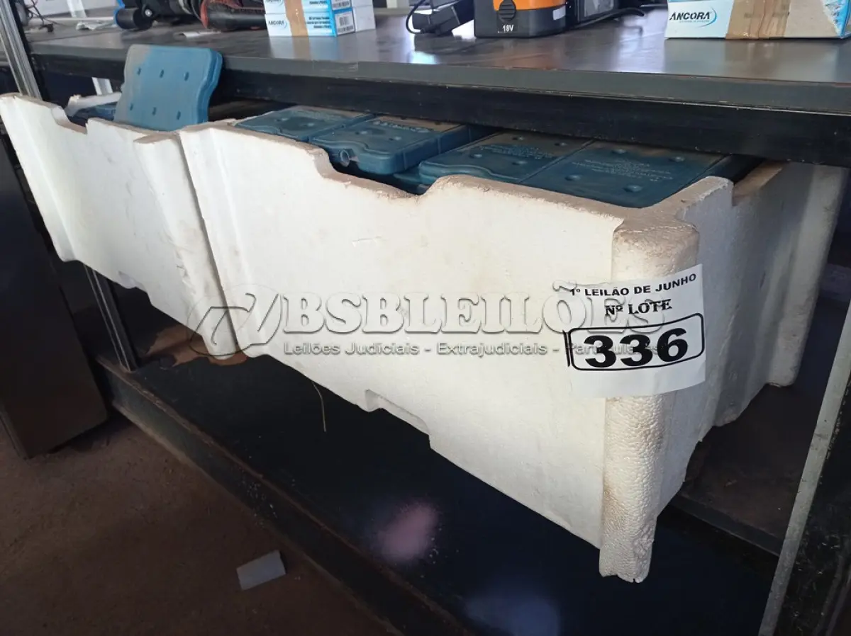 LOTE 336 - 01 LOTE COM GRANDE QUANTIDADE DE PLACAS PARA FAZER GELO RÍGIDO REUTILIZÁVEL. (NO ESTADO) ATENÇÃO! FAZER A VISITAÇÃO ANTES DE ARREMATAR, NÃO SABEMOS SE FUNCIONA. LEILÃO NÃO TEM GARANTIA E NEM DEVOLUÇÃO, SUJEITO A POSSÍVEIS AVARIAS VISÍVEIS/OCULTAS E/OU AUSÊNCIA DE COMPONENTES.