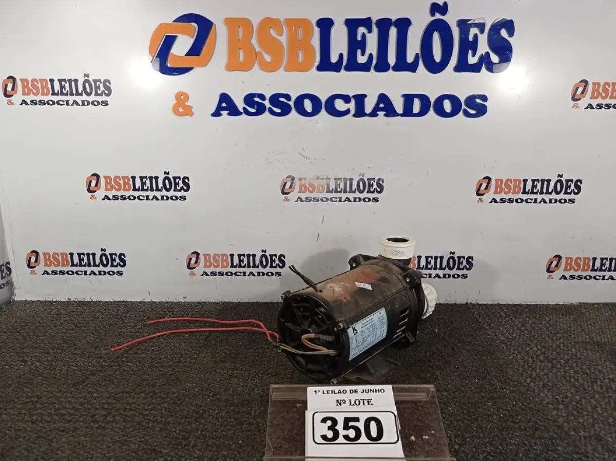 LOTE 350