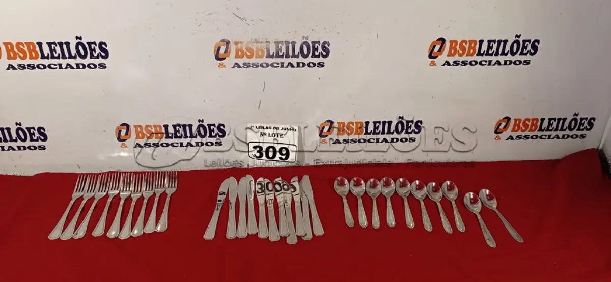 LOTE 309