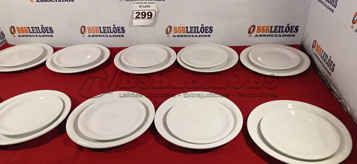 LOTE 299