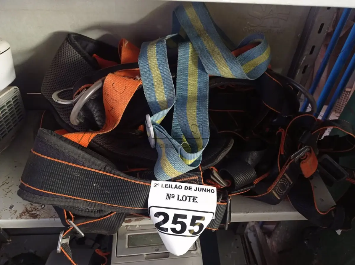 LOTE 255 - 02 CINTOS DE SEGURANÇA. (NO ESTADO) ATENÇÃO! FAZER A VISITAÇÃO ANTES DE ARREMATAR, NÃO SABEMOS SE FUNCIONA. LEILÃO NÃO TEM GARANTIA E NEM DEVOLUÇÃO, SUJEITO A POSSÍVEIS AVARIAS VISÍVEIS/OCULTAS E/OU AUSÊNCIA DE COMPONENTES.