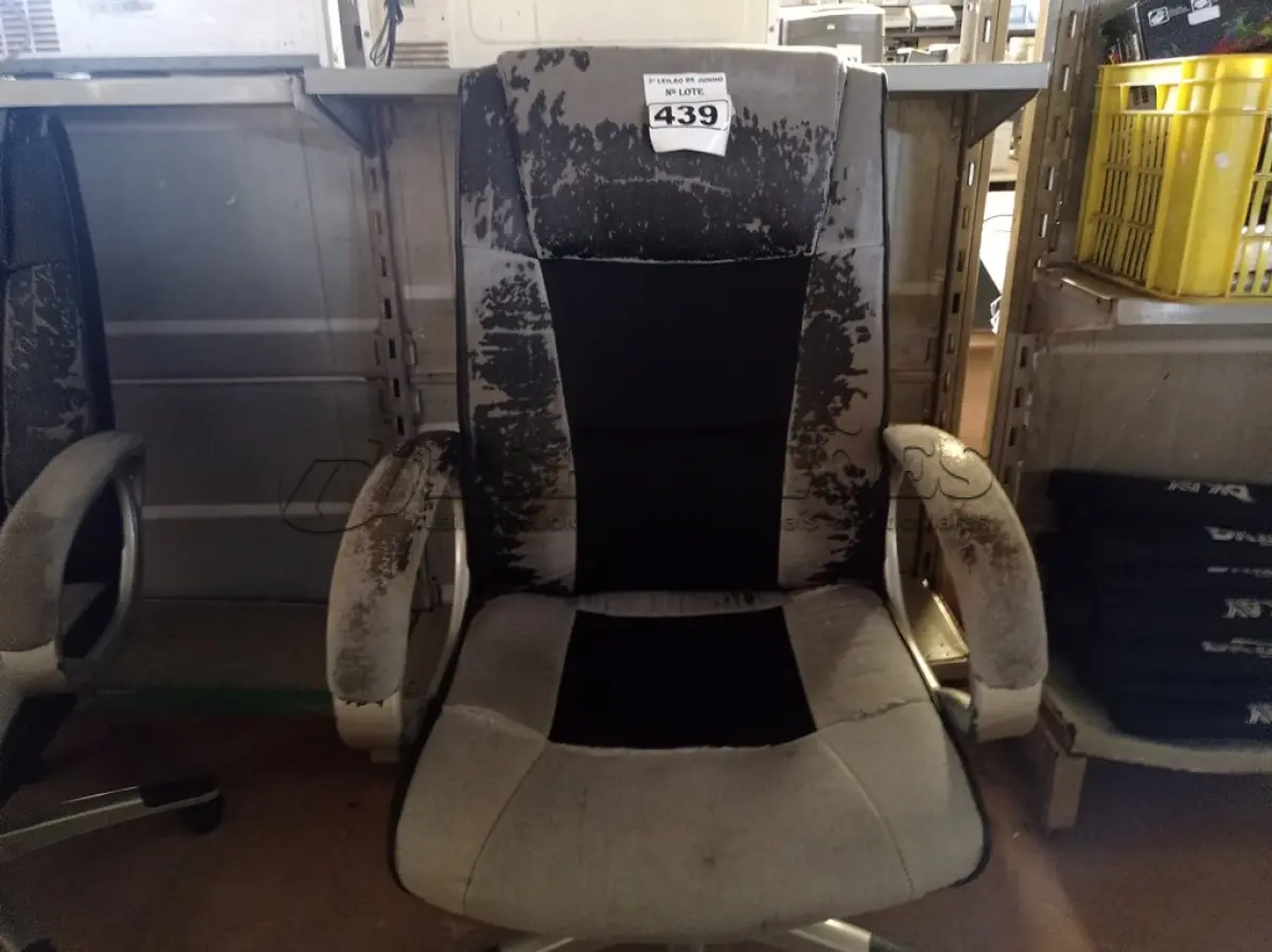 LOTE 439