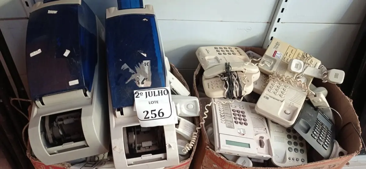 LOTE 256