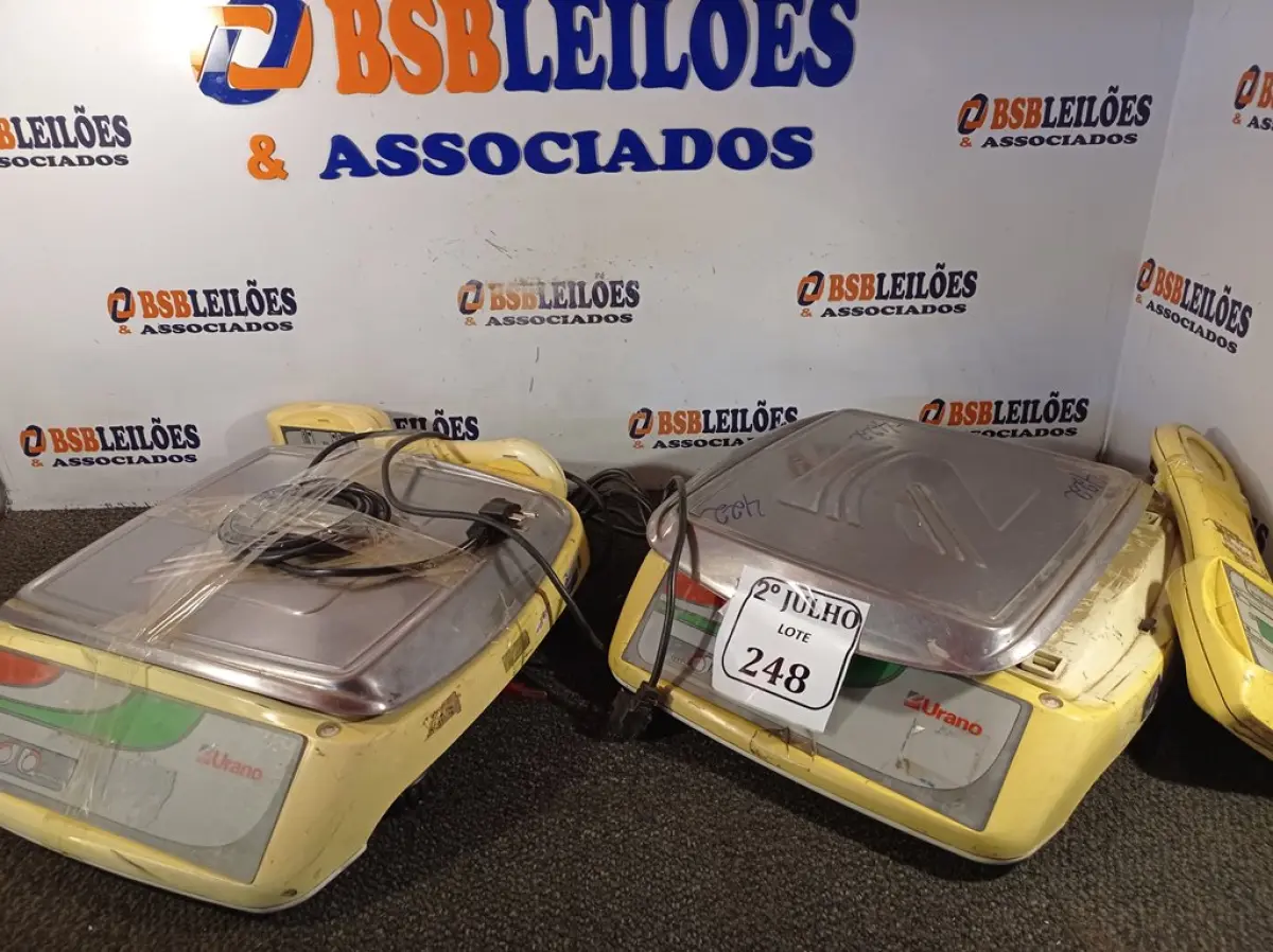 LOTE 248