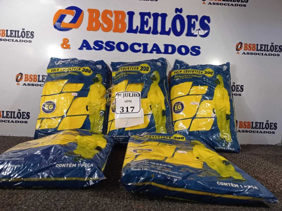 LOTE 317