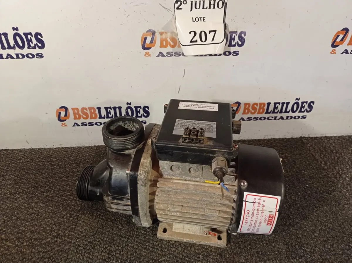 LOTE 207