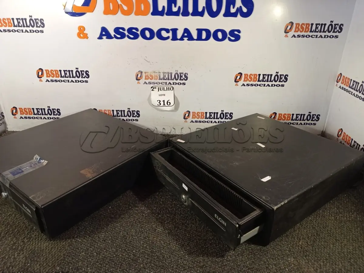LOTE 316