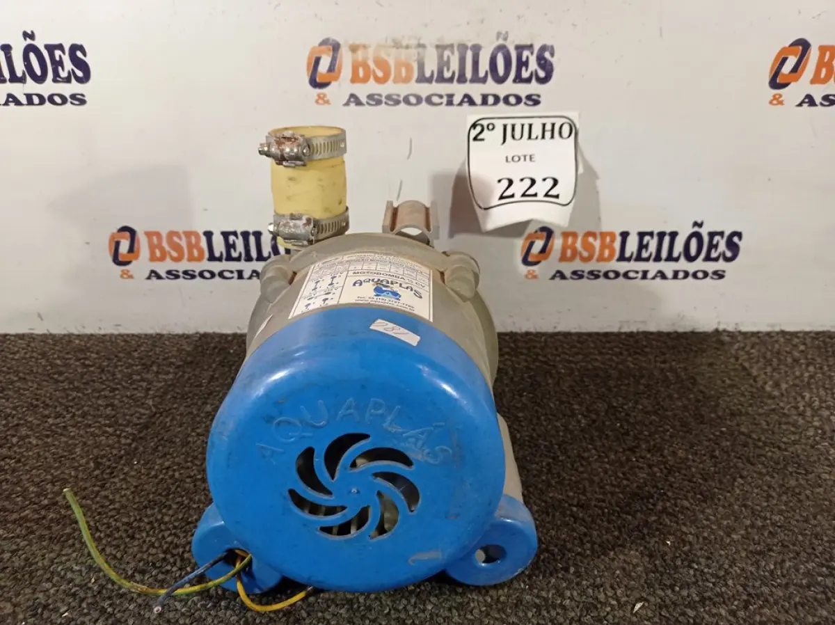 LOTE 222