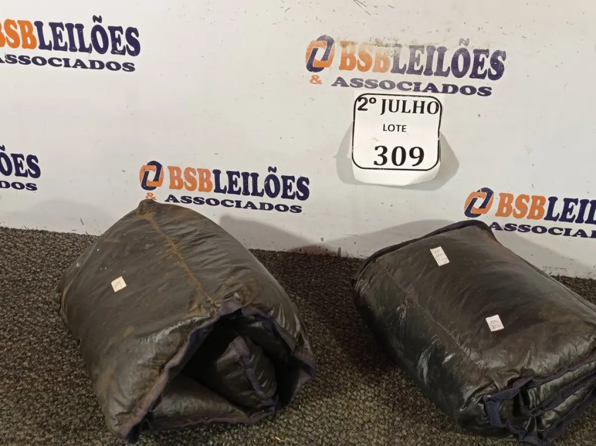 LOTE 309