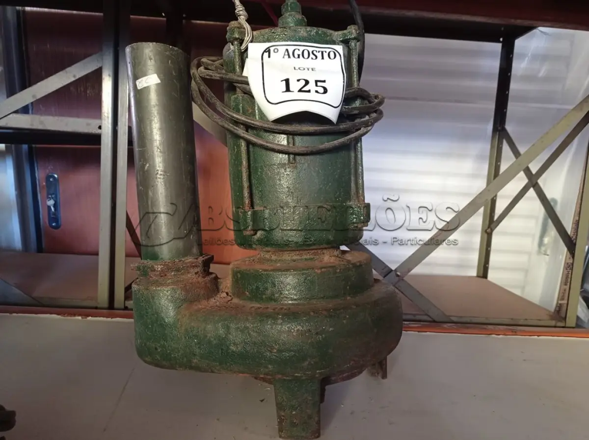 LOTE 125 - 01 BOMBA D’ÁGUA SUBMERSA. (NO ESTADO) ATENÇÃO! FAZER A VISITAÇÃO ANTES DE ARREMATAR, NÃO SABEMOS SE FUNCIONA. LEILÃO NÃO TEM GARANTIA E NEM DEVOLUÇÃO, SUJEITO A POSSÍVEIS AVARIAS VISÍVEIS/OCULTAS E/OU AUSÊNCIA DE COMPONENTES.