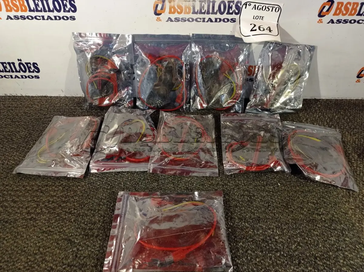 LOTE 264 - 10 PLACAS PCI USB. (NOVO)(NO ESTADO) ATENÇÃO! FAZER A VISITAÇÃO ANTES DE ARREMATAR, NÃO SABEMOS SE FUNCIONA. LEILÃO NÃO TEM GARANTIA E NEM DEVOLUÇÃO, SUJEITO A POSSÍVEIS AVARIAS VISÍVEIS/OCULTAS E/OU AUSÊNCIA DE COMPONENTES.