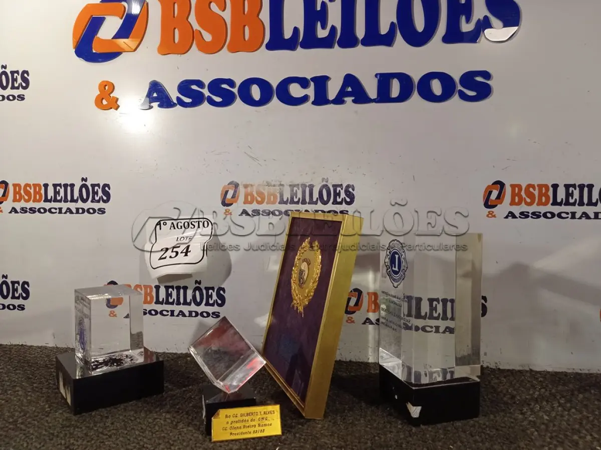 LOTE 254 - 01 LOTE COM UTENSÍLIOS PARA DECORAÇÃO. (NO ESTADO) ATENÇÃO! FAZER A VISITAÇÃO ANTES DE ARREMATAR, NÃO SABEMOS SE FUNCIONA. LEILÃO NÃO TEM GARANTIA E NEM DEVOLUÇÃO, SUJEITO A POSSÍVEIS AVARIAS VISÍVEIS/OCULTAS E/OU AUSÊNCIA DE COMPONENTES.