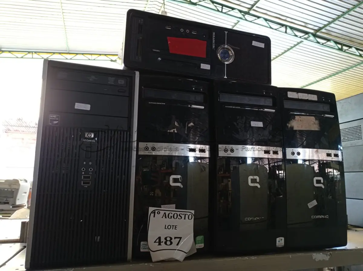 LOTE 487