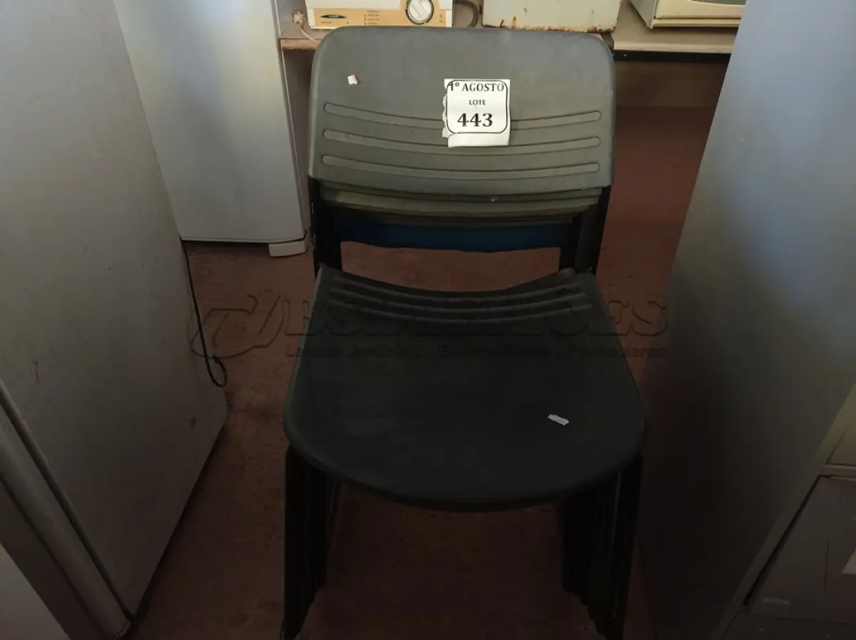 LOTE 443