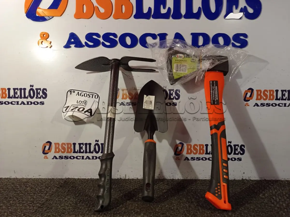 LOTE 170