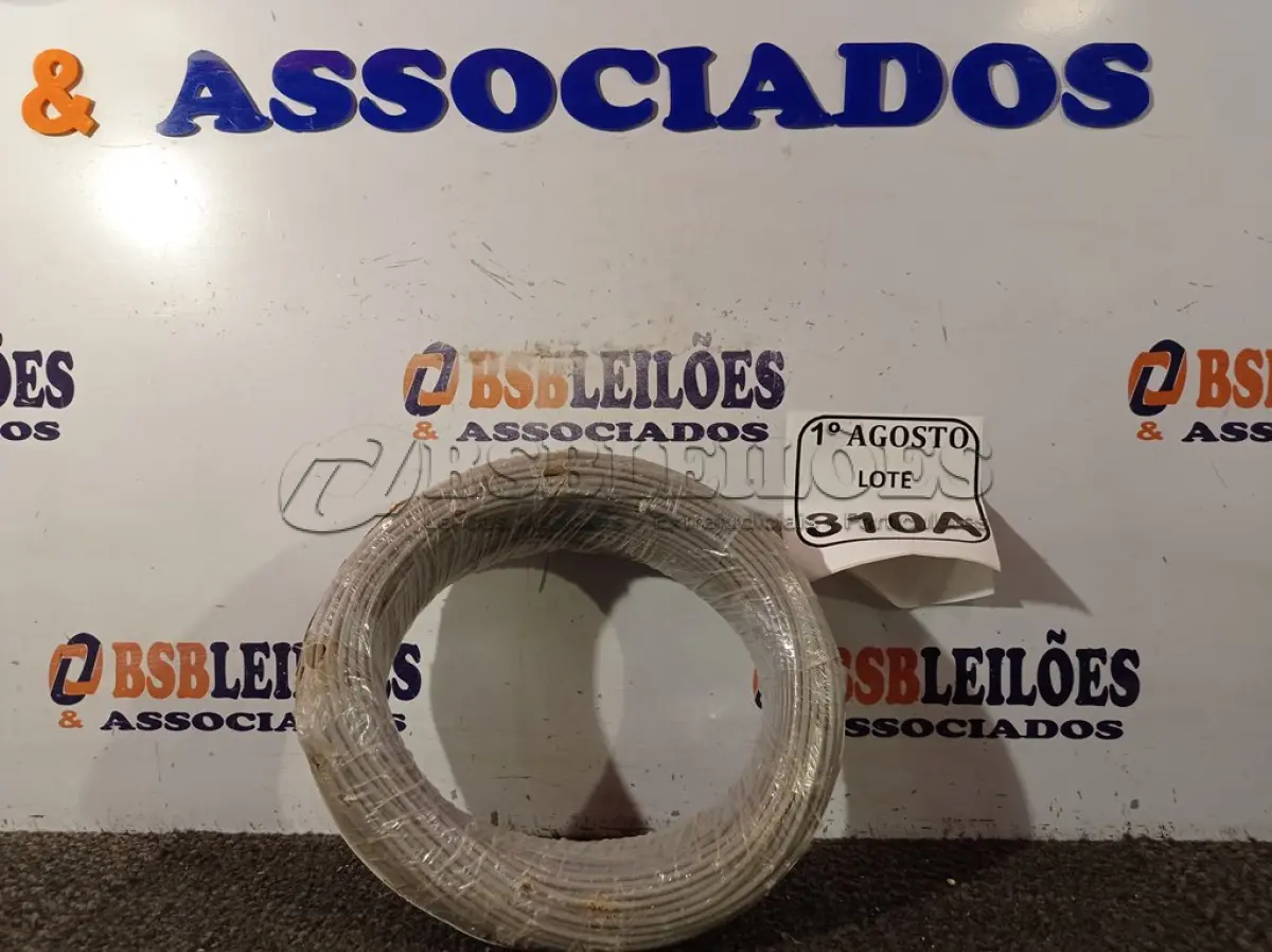 LOTE 310