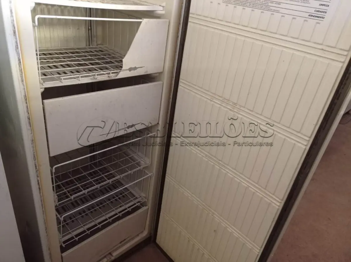 LOTE 458 - 01 FREEZER VERTICAL PROSDÓCIMO.  (NO ESTADO) ATENÇÃO! FAZER A VISITAÇÃO ANTES DE ARREMATAR, NÃO SABEMOS SE FUNCIONA. LEILÃO NÃO TEM GARANTIA E NEM DEVOLUÇÃO, SUJEITO A POSSÍVEIS AVARIAS VISÍVEIS/OCULTAS E/OU AUSÊNCIA DE COMPONENTES.