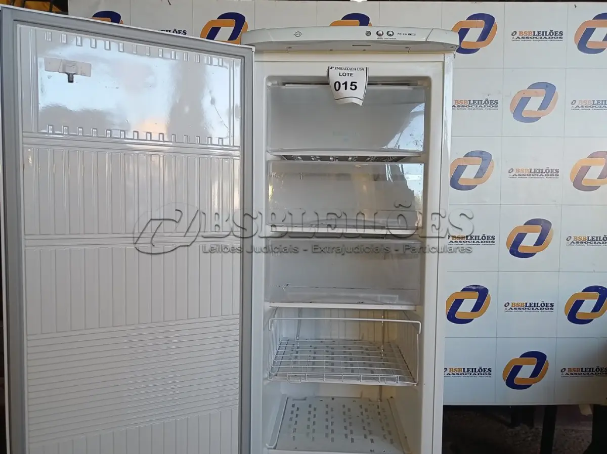 LOTE 015 - 01 FREEZER VERTICAL MARCA ELECTROLUX 127V. (NO ESTADO EM QUE SE ENCONTRA. SUJEITO A AVARIAS OCULTAS/VISÍVEIS.) AV9318G