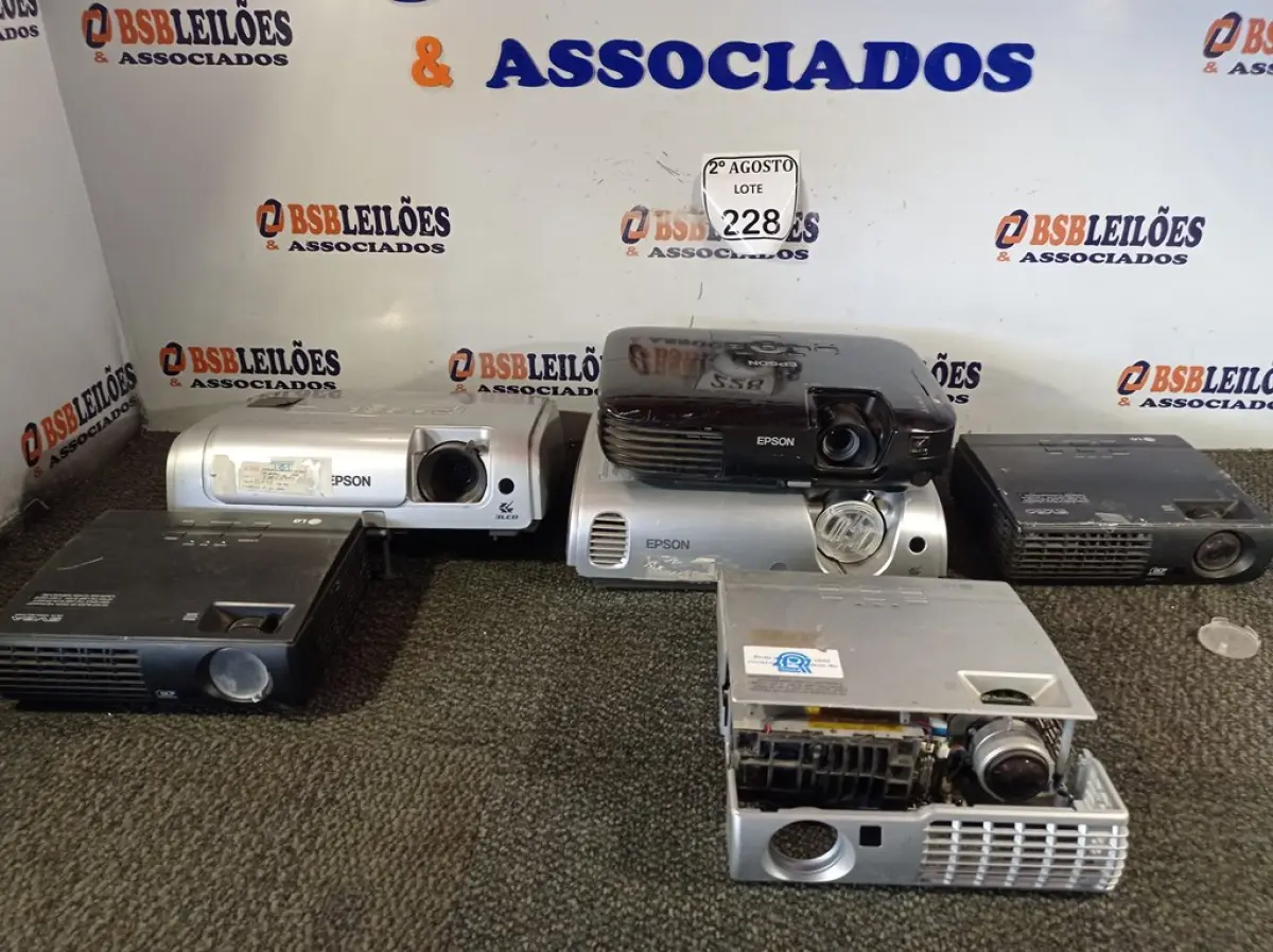 LOTE 228