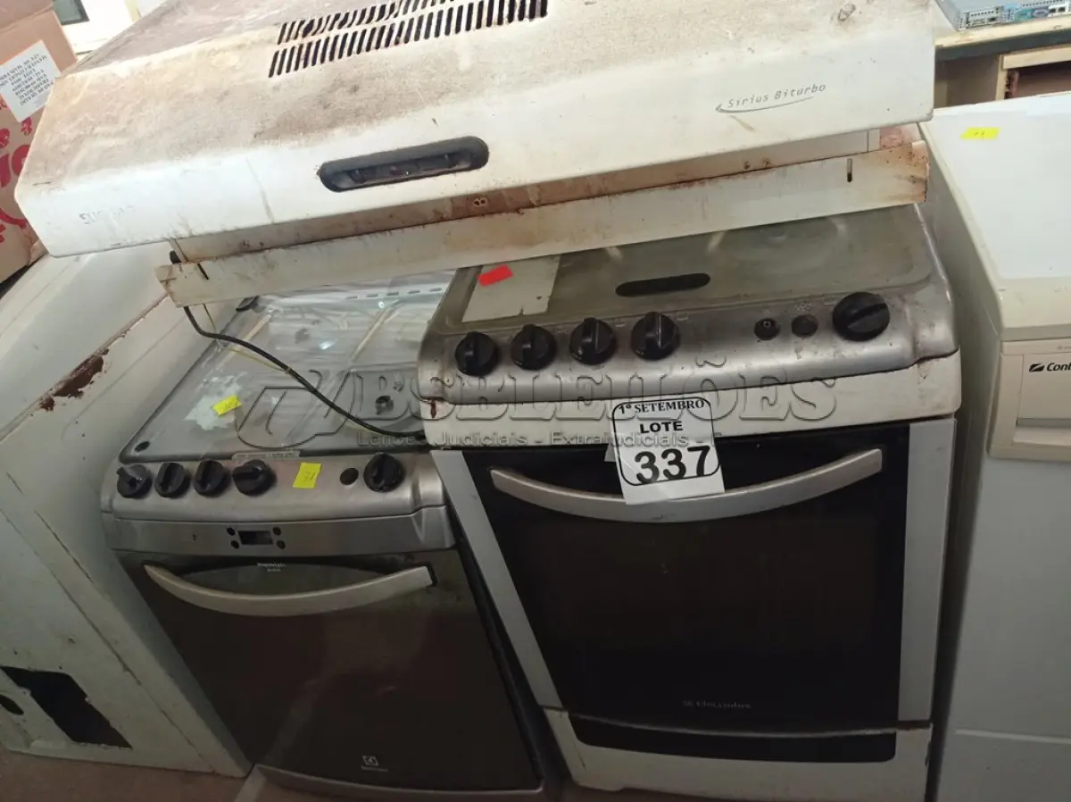 LOTE 337