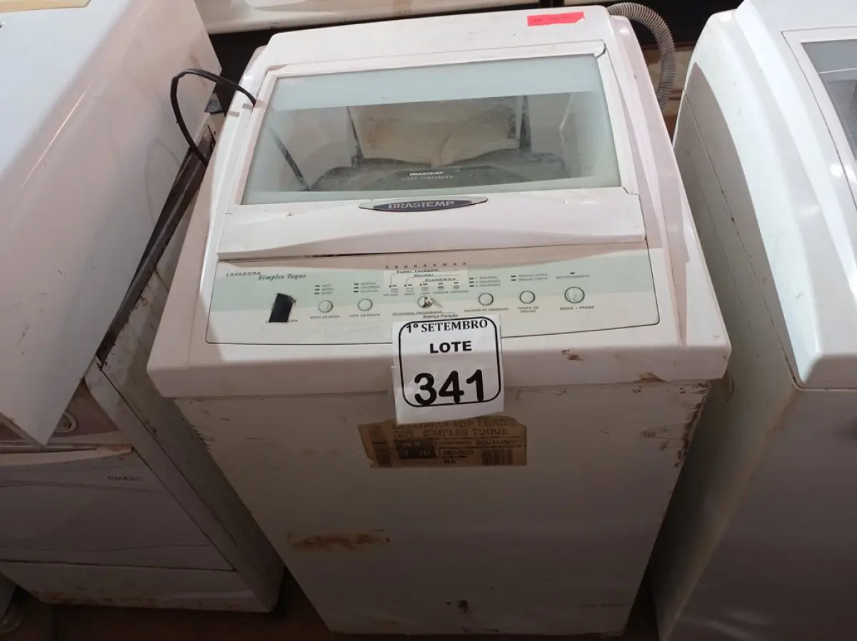 LOTE 341
