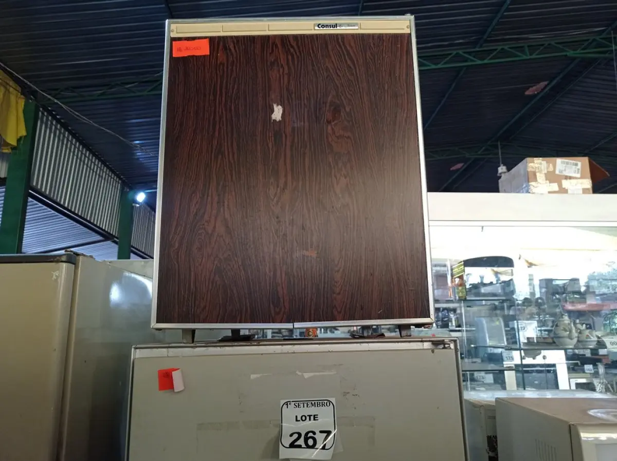 LOTE 267