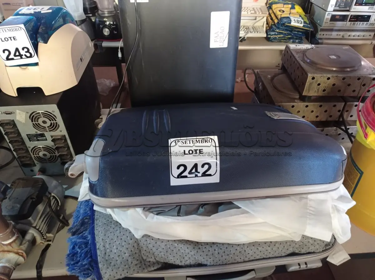 LOTE 242