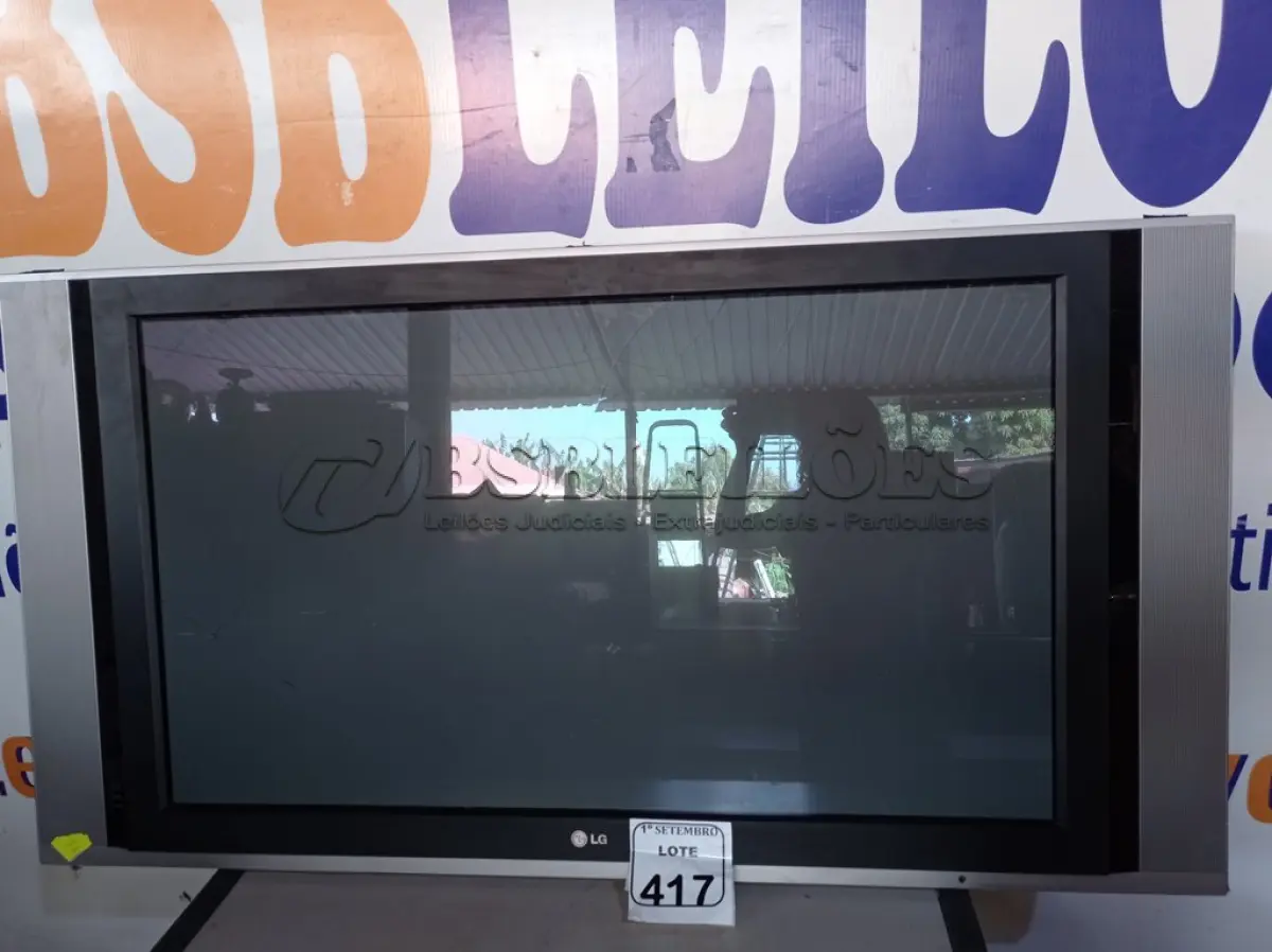 LOTE 417