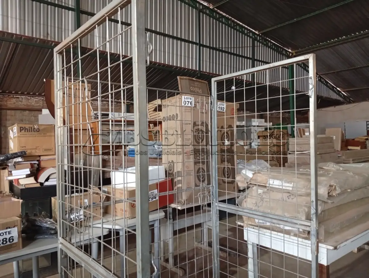 LOTE 134
