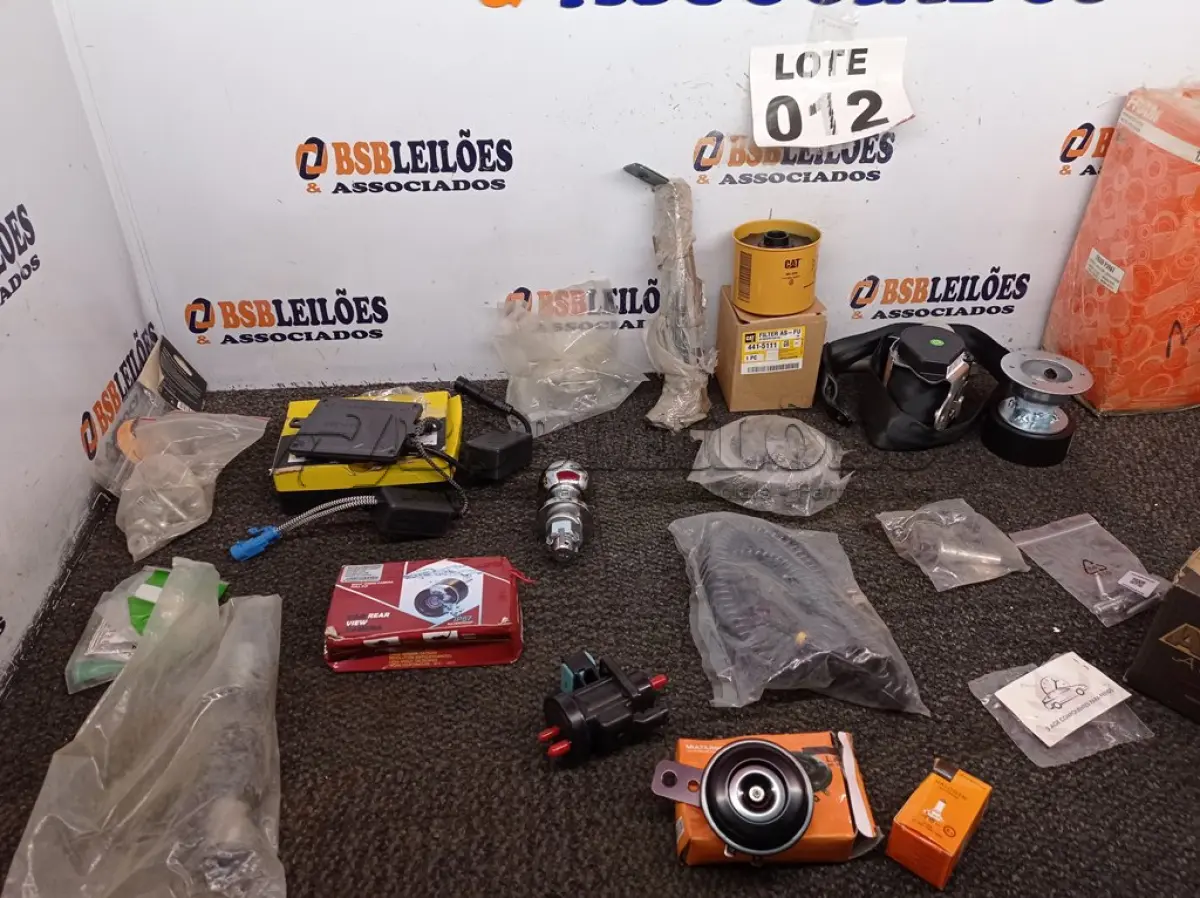 LOTE 012 - 20 – ITENS AUTOMOTIVOS DIVERSOS (NO ESTADO, NÃO SABEMOS SE FUNCIONA. LEILÃO NÃO TEM GARANTIA E NEM DEVOLUÇÃO, SUJEITO A POSSÍVEIS AVARIAS VISÍVEIS/OCULTAS E/OU AUSÊNCIA DE COMPONENTES)