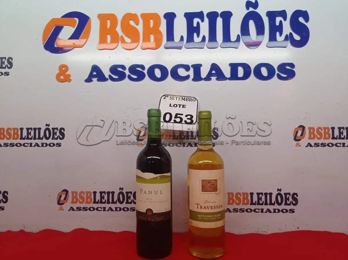 LOTE 053 - 01 GARRAFA DE VINHO TRAVESSIA BRANCO 750ML E 01 GARRAFA DE VINHO PANUL CABERNET SAUVIGNON 2013 750ML. (NO ESTADO) ATENÇÃO! FAZER A VISITAÇÃO ANTES DE ARREMATAR, NÃO SABEMOS SE FUNCIONA. LEILÃO NÃO TEM GARANTIA E NEM DEVOLUÇÃO, SUJEITO A POSSÍVEIS AVARIAS VISÍVEIS/OCULTAS E/OU AUSÊNCIA DE COMPONENTES.
