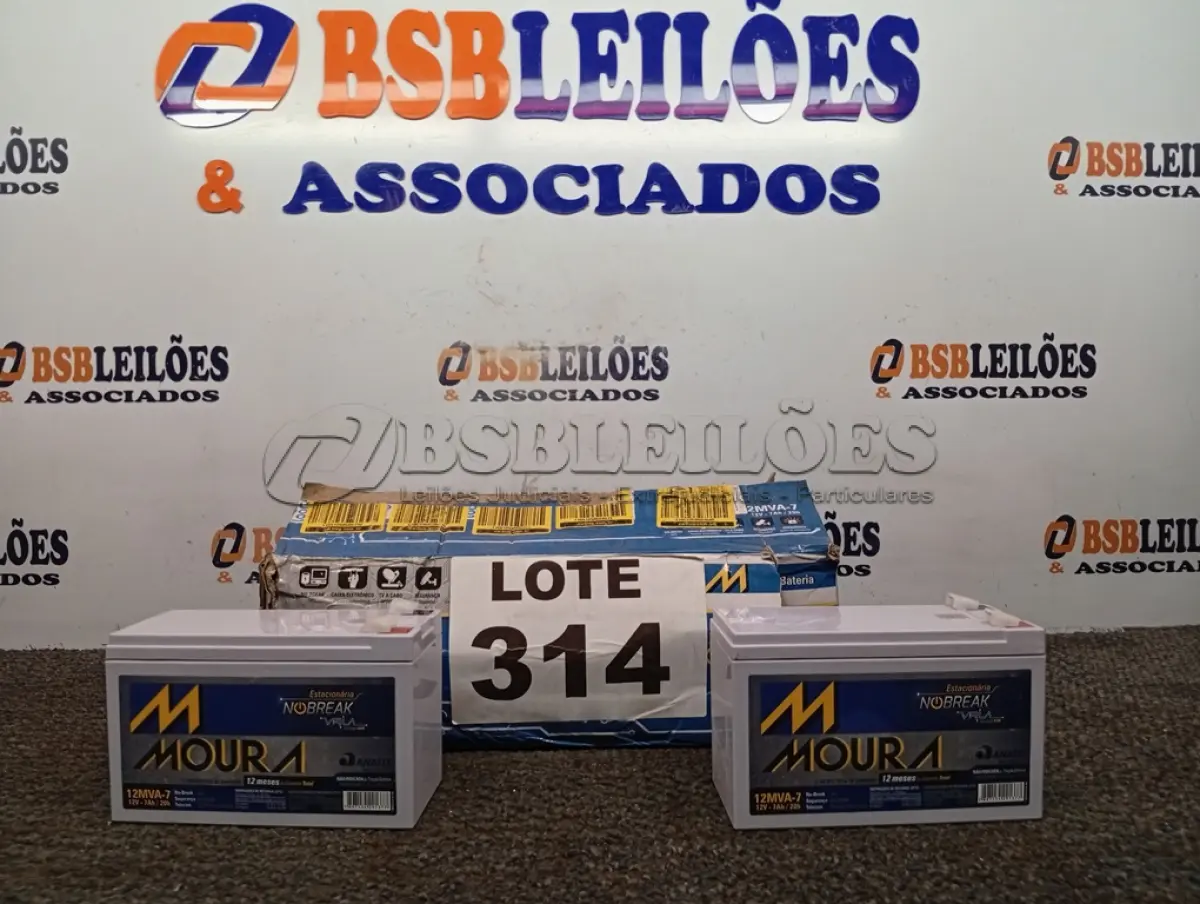 LOTE 314