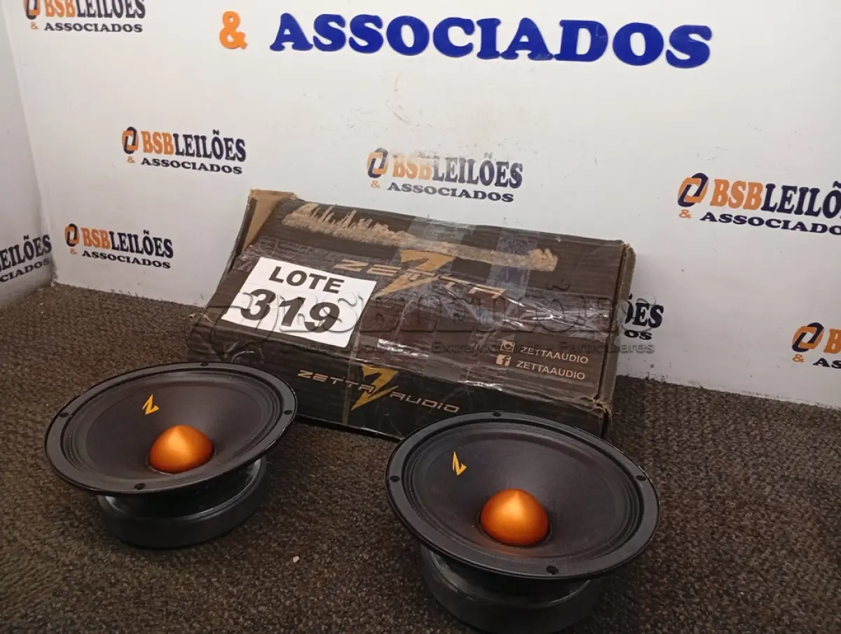 LOTE 319 - 01 - PAR DE ALTO FALANTE ZETTA AUDIO (NO ESTADO, NÃO SABEMOS SE FUNCIONA. LEILÃO NÃO TEM GARANTIA E NEM DEVOLUÇÃO, SUJEITO A POSSÍVEIS AVARIAS VISÍVEIS/OCULTAS E/OU AUSÊNCIA DE COMPONENTES)