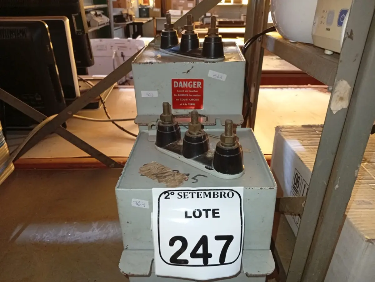 LOTE 247