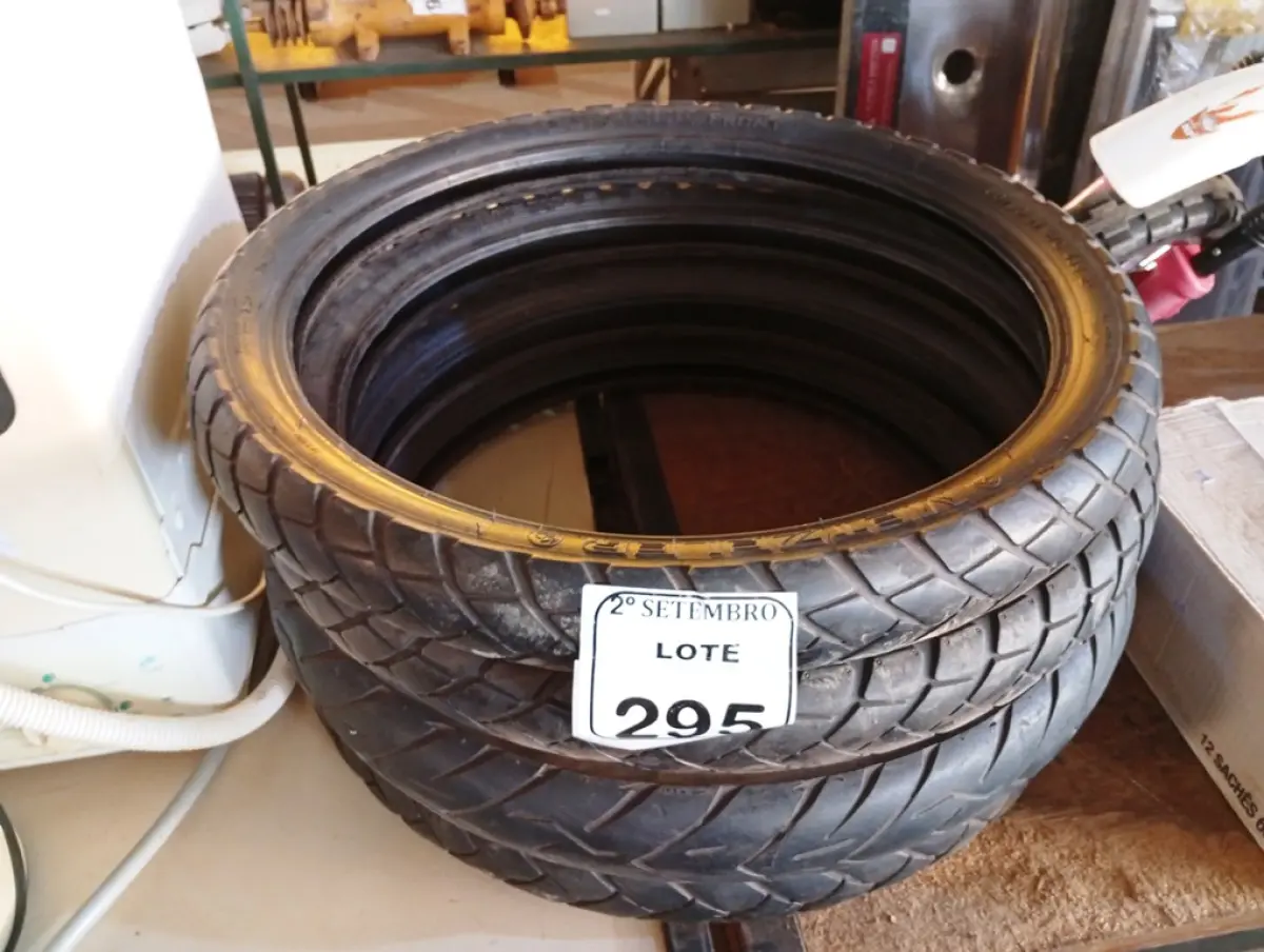 LOTE 295