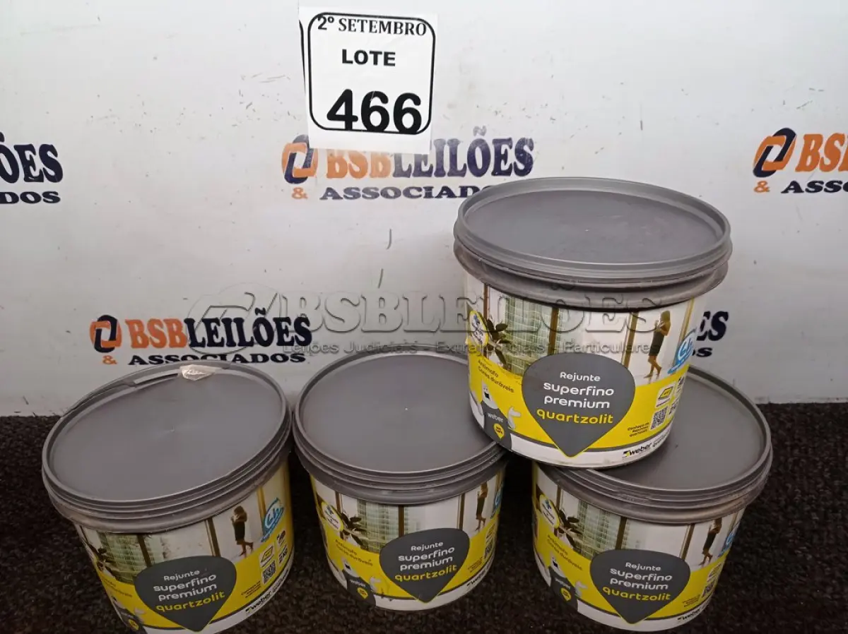 LOTE 466