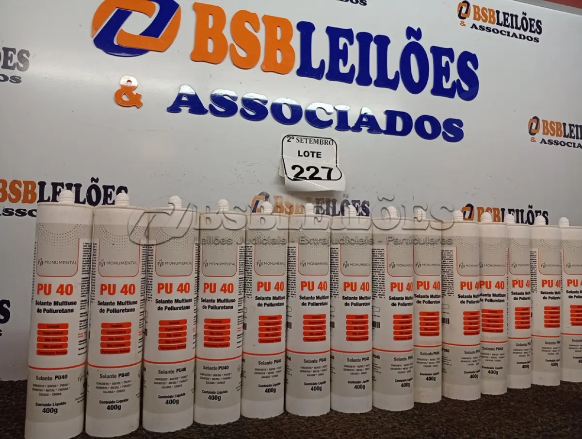 LOTE 227