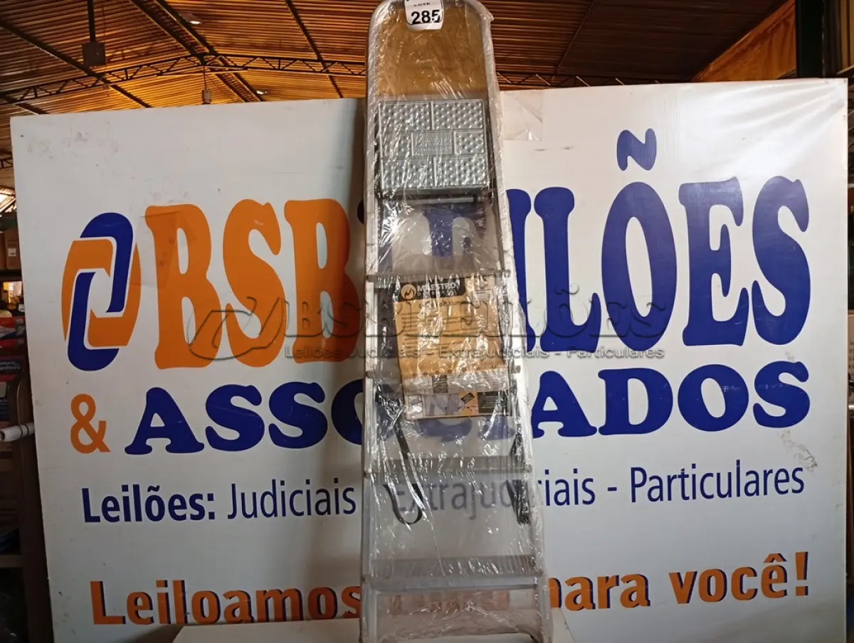 LOTE 285