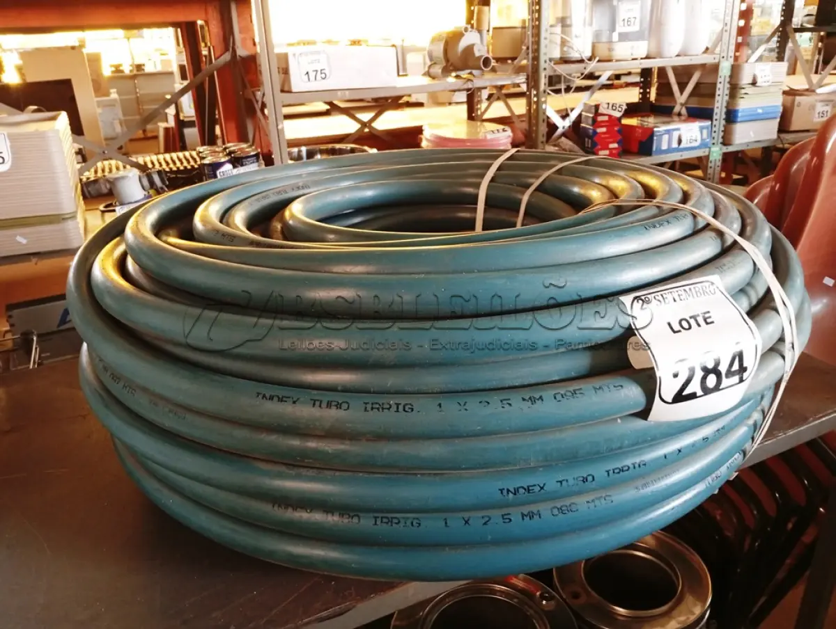 LOTE 284