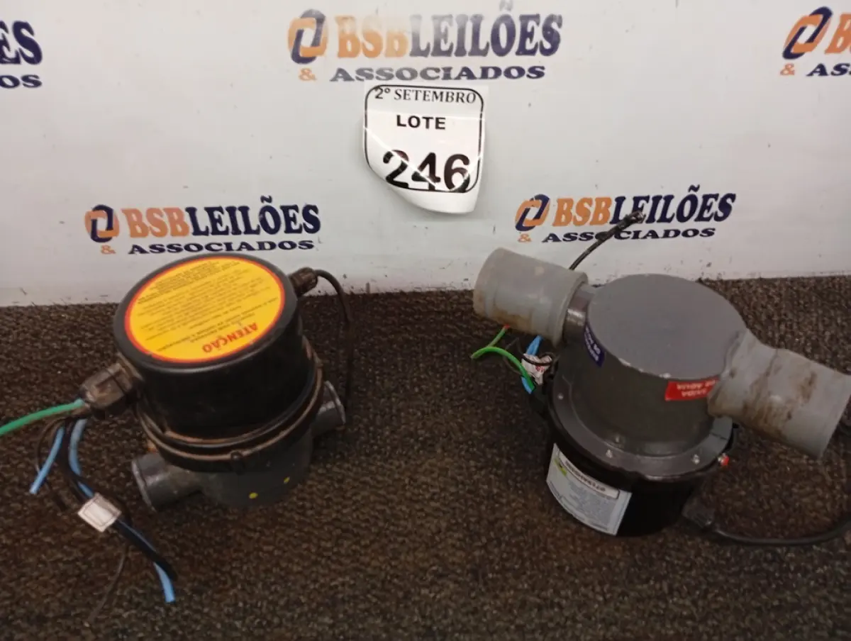 LOTE 246