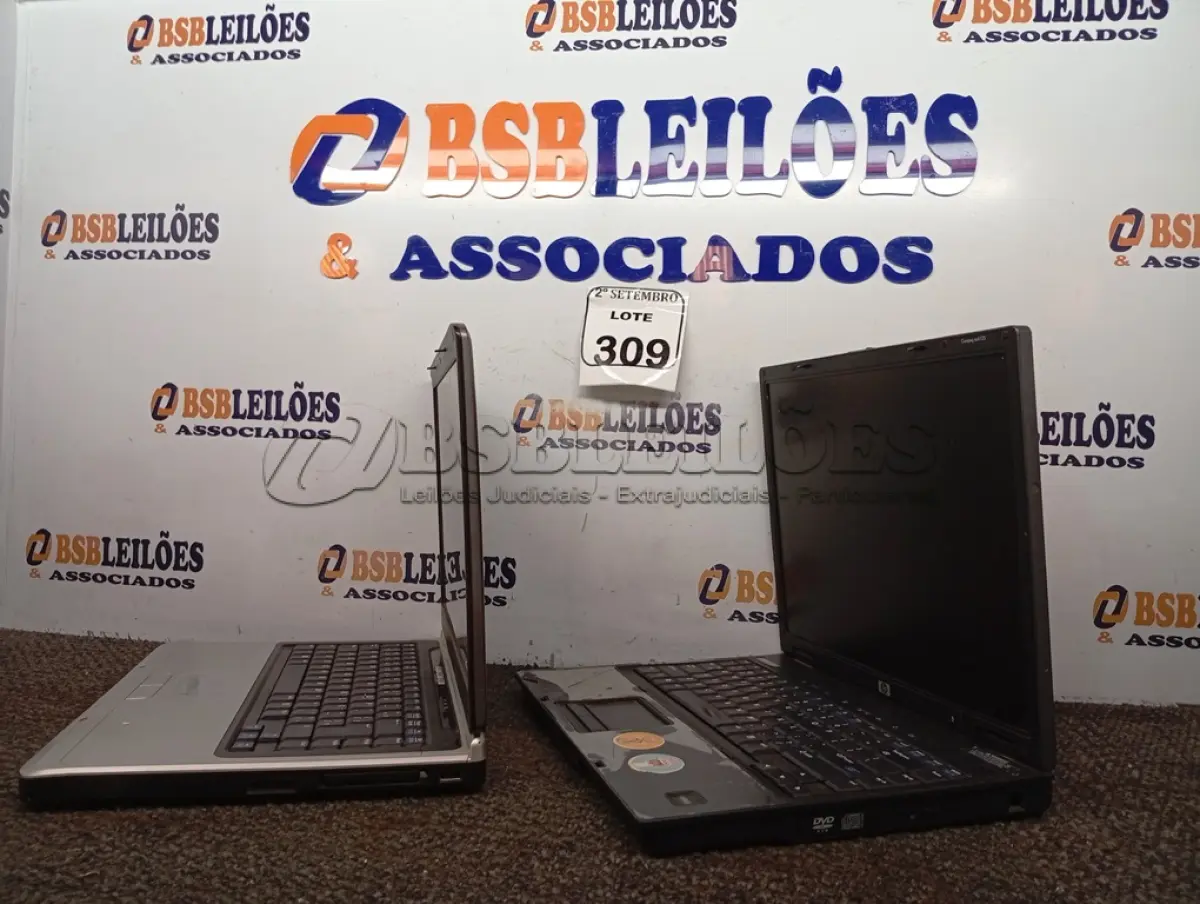 LOTE 309