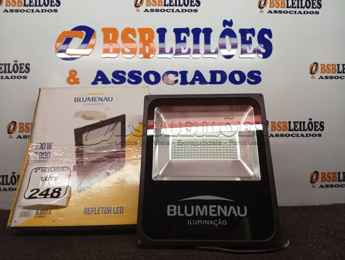 LOTE 248