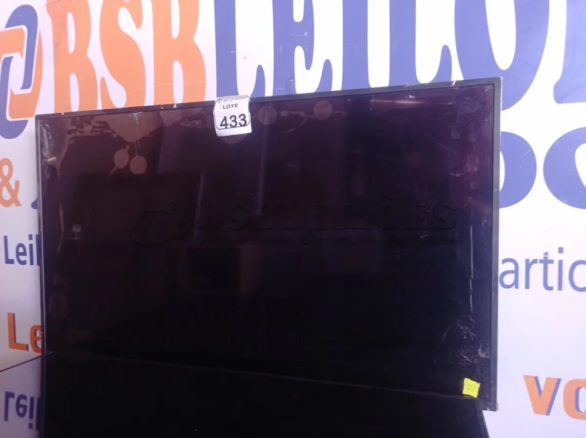 LOTE 433