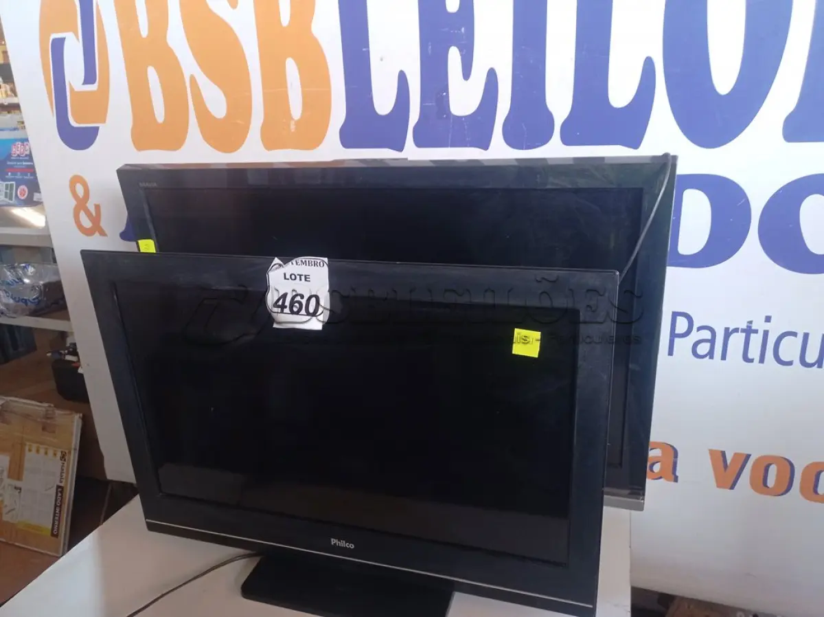 LOTE 460