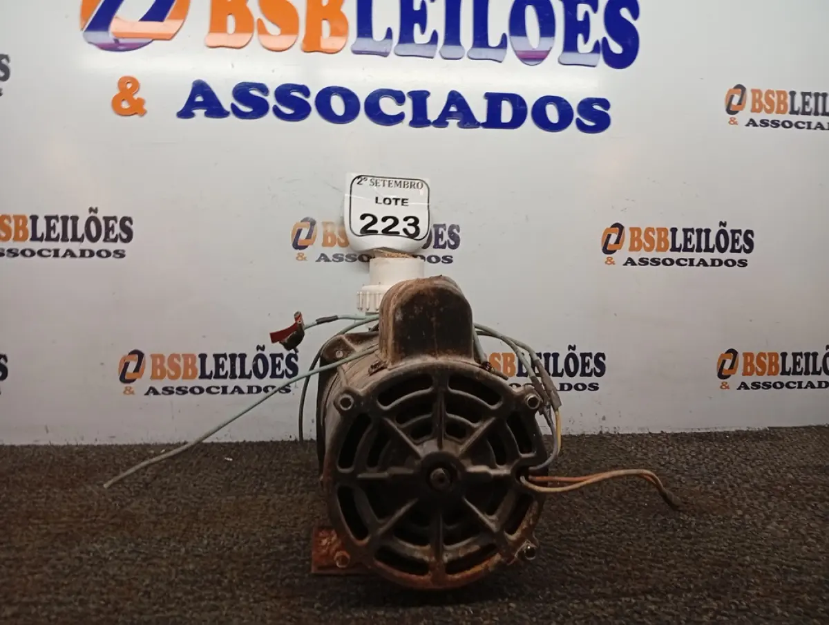 LOTE 223