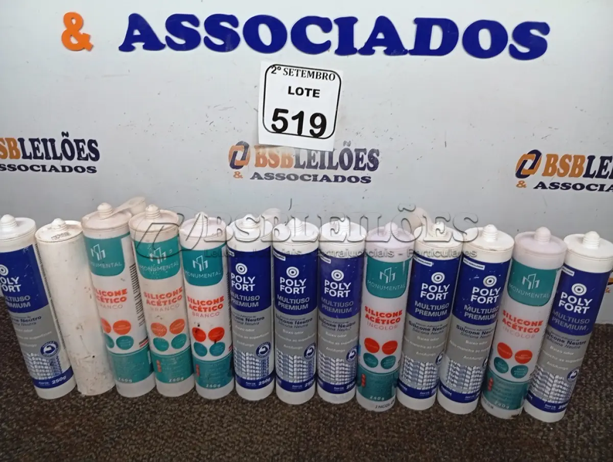 LOTE 519